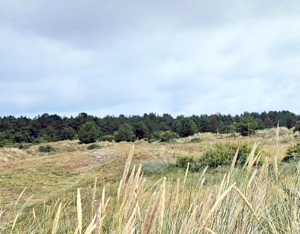 Het Oerd Landschaft